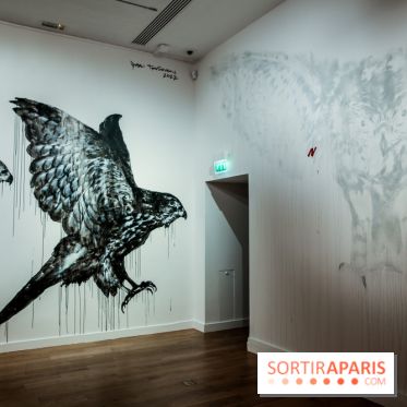 Incursions sauvages, nos photos