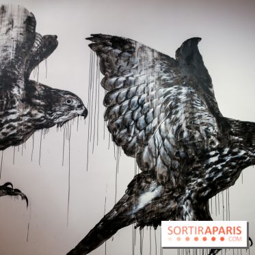 Incursions sauvages, nos photos