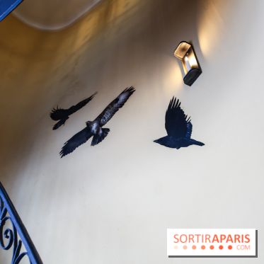 Incursions sauvages, nos photos