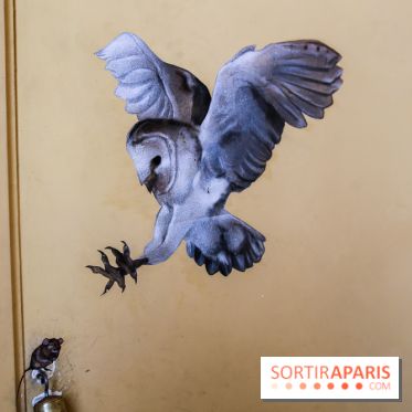 Incursions sauvages, nos photos