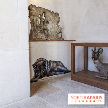 Incursions sauvages, nos photos