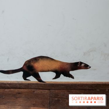 Incursions sauvages, nos photos