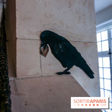 Incursions sauvages, nos photos