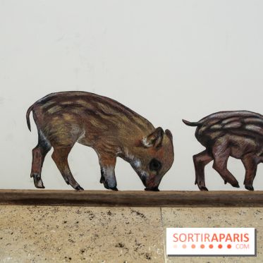 Incursions sauvages, nos photos