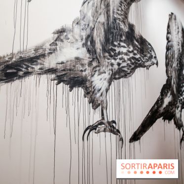 Incursions sauvages, nos photos