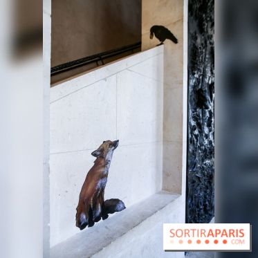 Incursions sauvages, nos photos