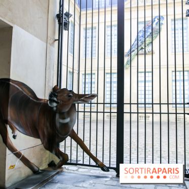 Incursions sauvages, nos photos