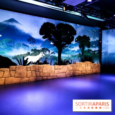 Expo Machu Picchu et les Trésors du Pérou, nos photos