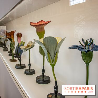 Saison Réclamer la terre au Palais de Tokyo - nos photos