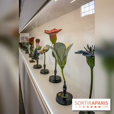 Saison Réclamer la terre au Palais de Tokyo - nos photos