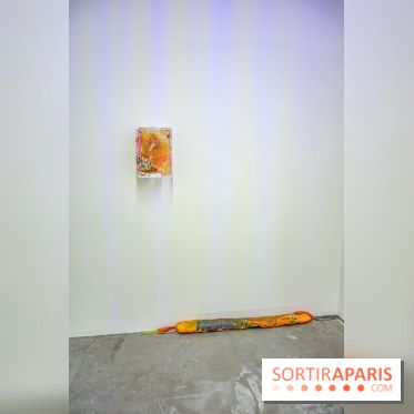 Saison Réclamer la terre au Palais de Tokyo - nos photos