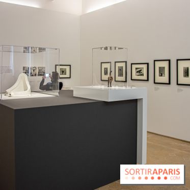 Maya Ruiz-Picasso, nos photos de l'exposition au Musée Picasso