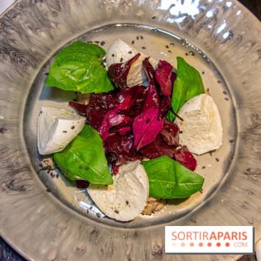 Marcello entrée burrata