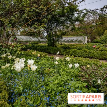 Le Château de Saint-Jean de Beauregard et son Jardin remarquable