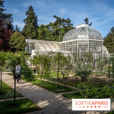 Les jardins du Musée Albert Kahn, nos photos 