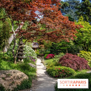Les jardins du Musée Albert Kahn, nos photos 
