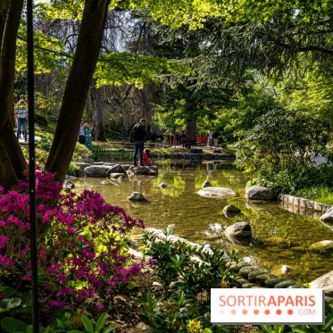 Les jardins du Musée Albert Kahn, nos photos 