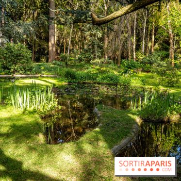 Les jardins du Musée Albert Kahn, nos photos 