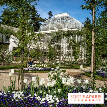 Les jardins du Musée Albert Kahn, nos photos 