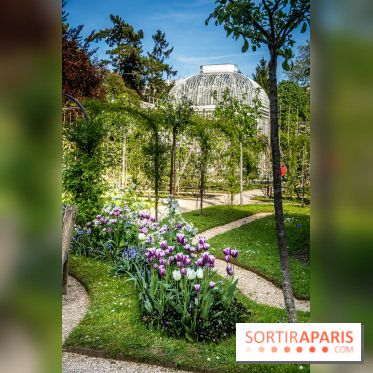 Les jardins du Musée Albert Kahn, nos photos 