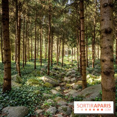 Les jardins du Musée Albert Kahn, nos photos 