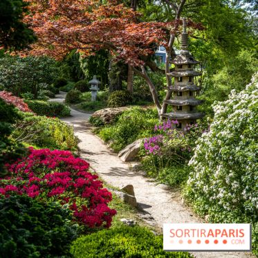 Les jardins du Musée Albert Kahn, nos photos 