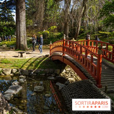 Les jardins du Musée Albert Kahn, nos photos 