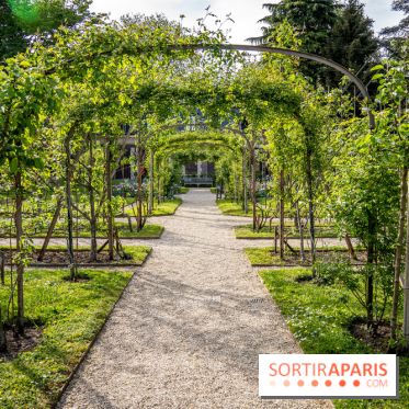 Les jardins du Musée Albert Kahn, nos photos 
