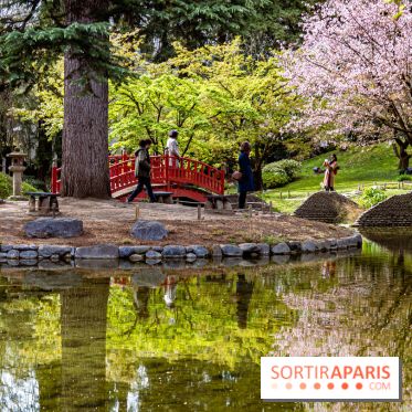 Les jardins du Musée Albert Kahn, nos photos
