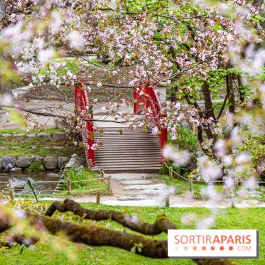 Les jardins du Musée Albert Kahn, nos photos