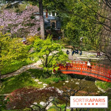 Les jardins du Musée Albert Kahn, nos photos