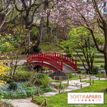 Les jardins du Musée Albert Kahn, nos photos
