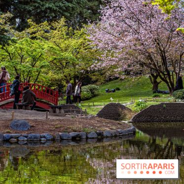Les jardins du Musée Albert Kahn, nos photos
