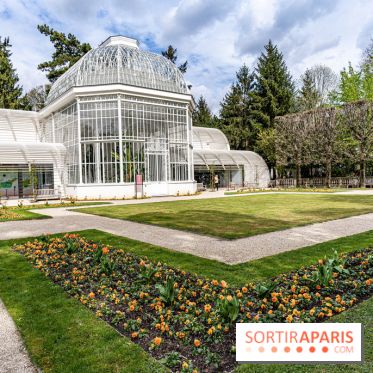 Les jardins du Musée Albert Kahn, nos photos
