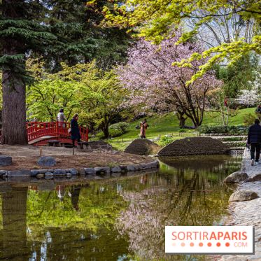 Les jardins du Musée Albert Kahn, nos photos