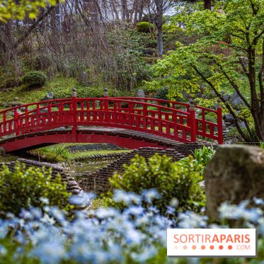 Les jardins du Musée Albert Kahn, nos photos