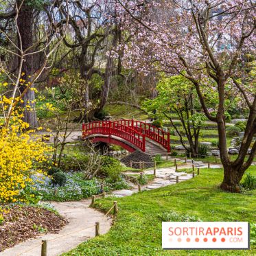 Les jardins du Musée Albert Kahn, nos photos