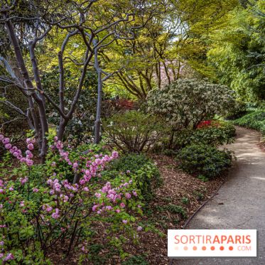 Les jardins du Musée Albert Kahn, nos photos