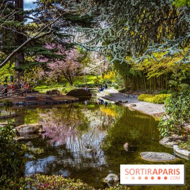 Les jardins du Musée Albert Kahn, nos photos