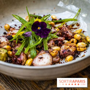 Andia restaurant et terrasse à la Gare 