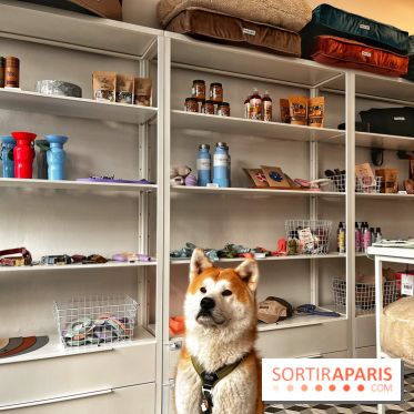 Barkers+Brothers, le concept store canin pour chouchouter son chien à Montmartre