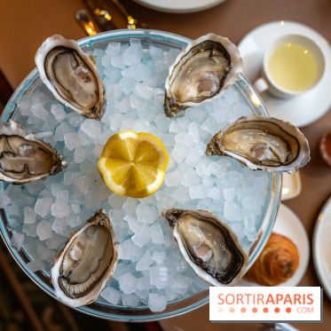 Photos : le Café de la Paix, carte et restaurant  - A7C05141