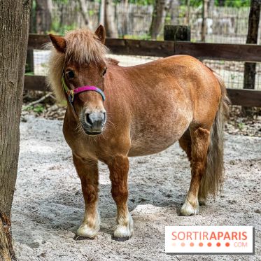 Aventure Floreval, l'accrobranche canon aux portes de Paris