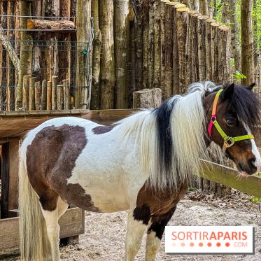 Aventure Floreval, l'accrobranche canon aux portes de Paris