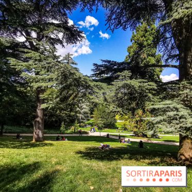 Photos : Le Parc des Buttes Chaumont
