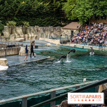 Zoo de Beauval 