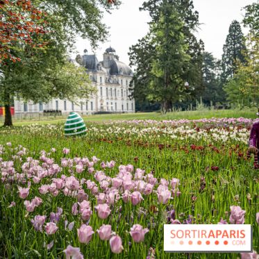 Photos : Château de Cheverny