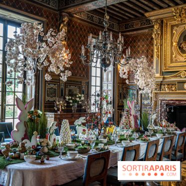 Photos : Château de Cheverny