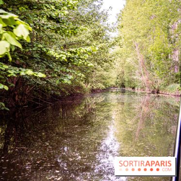 Photos : Château de Cheverny