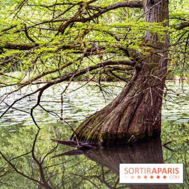 Photos : Château de Cheverny
